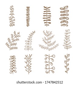 Set of twigs. Summer set in the style of doodling. Drawn by hand.