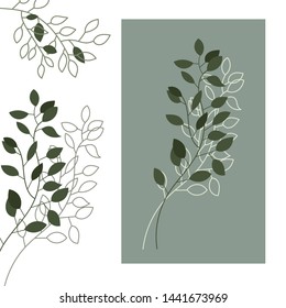 Set of twigs for wedding decoration on a white background.