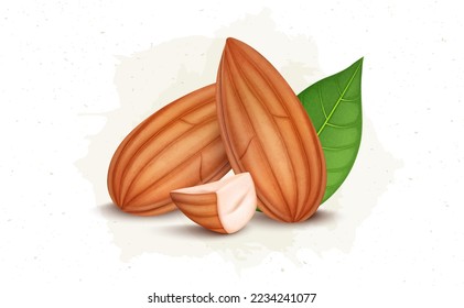 Set of Two almond nuts with almond pieces and green leaves vector illustration isolated on white background