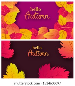 Set of two backgrounds with autumn leaves and place for your text.  Banner design for fall season banner or poster. Vector illustration