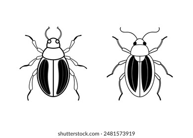 A set of two beetle