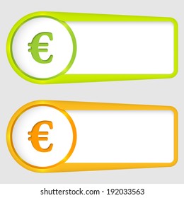 set of two boxes for entering text with euro sign
