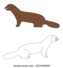 Set of two brown minks and an outline for coloring
