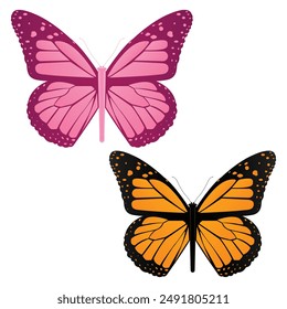 Set of two butterflies pink and orange flat vector illustration on white background.