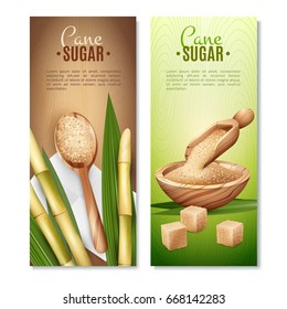 Set of two cane sugar vertical banners with reed sticks and leaves cubic and sand sugar vector illustration