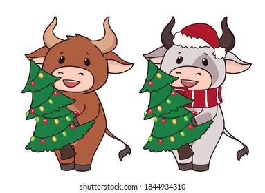 Set of two cartoon cow wearing Christmas costume and holding tree. Hand drawn vector illustration for greeting cards. 
