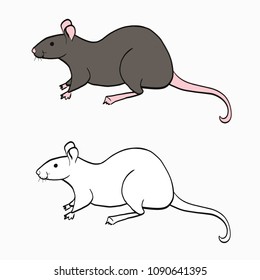 Set of two cartoon rats on white background. Sketches of rats.