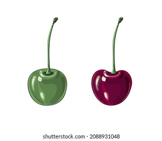 Set of two cherries in style cartoon. Green and red cherries. Ripe and unripe cherries. Fruit. Stock vector illustration isolated on a white background.