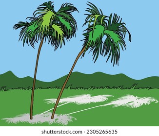 Set of Two Coconut Palm Trees - Cartoon Illustrations Isolated on White Background, Vector