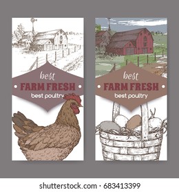 Set of two color farm fresh labels with farmhouse, chicken and eggs in wicker basket on white. Includes hand drawn elements.