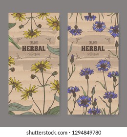 Set of two color labels with Arnica montana aka oountain arnica and Centaurea cyanus aka cornflower. Hadn drawn sketch. Herbal collection. Great for traditional medicine, or gardening.