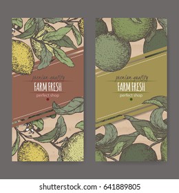 Set of two color labels with fresh lemon and lime fruits. Placed on original cardboard texture. Includes hand drawn elements.