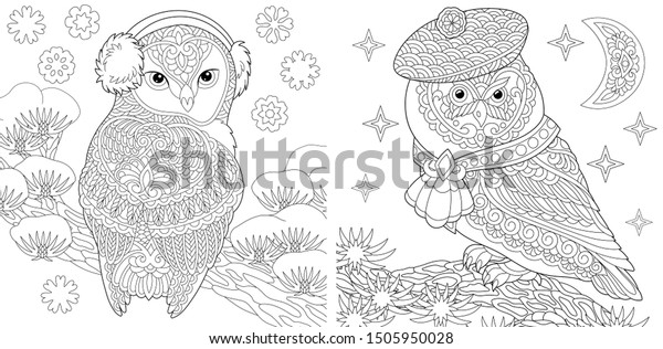 set two colouring pictures owls cute stock vector royalty