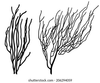 set of two coral silhouettes black on white