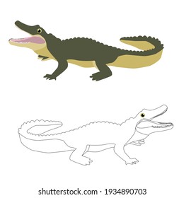A set of two crocodiles green and a stroke for coloring