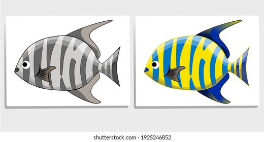 A set of two cute marine fish, one is gray shade and one is created with many beautiful colors. Vector image in cartoon style.