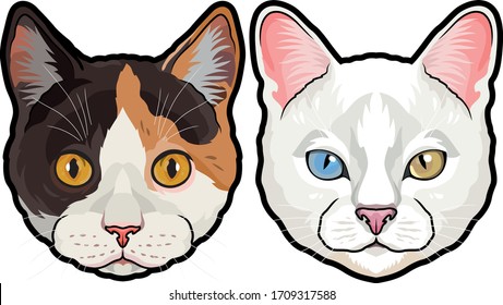 Set of two detailed colored house cat heads vector illustration isolated