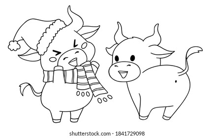 Set of two different little cow wearing Christmas costume. Hand drawn contour vector illustration for children coloring book. 