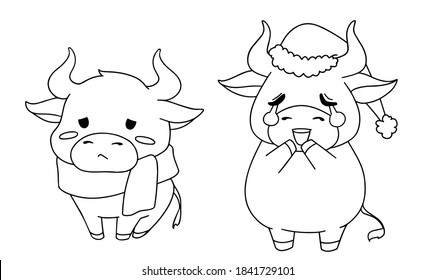 Set of two different little cow wearing Christmas costume. Hand drawn contour vector illustration for children coloring book. 