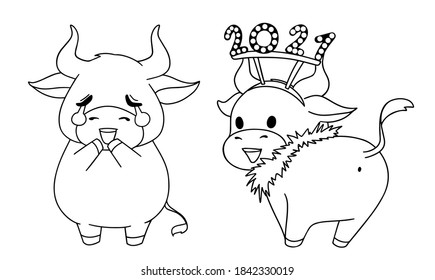 Set of two different little cow wearing Christmas costume. Hand drawn contour vector illustration for children coloring book. 