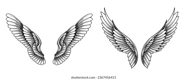 a set of two different wings
drawn in ink on a white
background