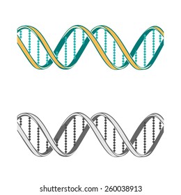Set of two  DNA symbols on white background.