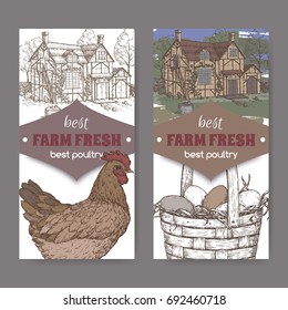 Set of two farm fresh labels with color traditional farmhouse, chicken and eggs in wicker basket on white. Includes hand drawn elements.