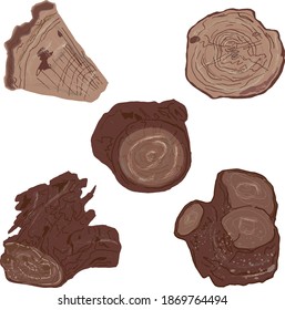 set of two five stumps
