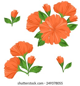 A set of two flower compositions and two buds in red and green colors on the white background