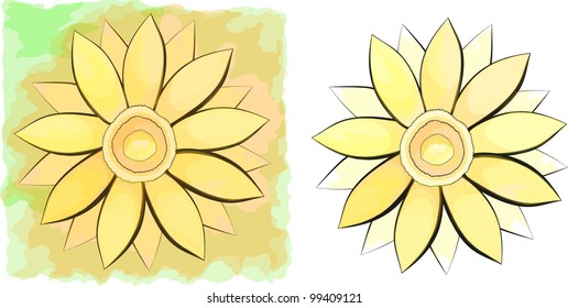 Set of two flowers. Eps 10