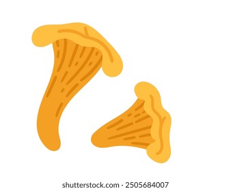 Set of two golden chanterelle mushrooms. Healthy vegetarian food. Vector illustration isolated on white background