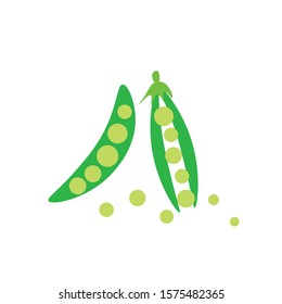 Set of two green peas isolated on white background vector illustration.Hand-drawn.