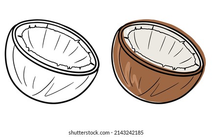 A set of two halves of coconut, vector illustration, monochrome image and color on a white background