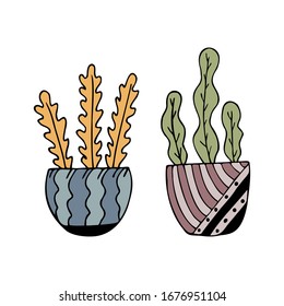 Set of two hand drawn colorful potted flowers isolated on a white background. Doodle, simple outline illustration. It can be used for decoration of textile, paper.