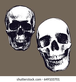 Set of two Hand drawn skulls. White vector objects isolated on dark background. T-shirt print