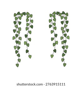 Set of two hanging vines with heartshaped leaves