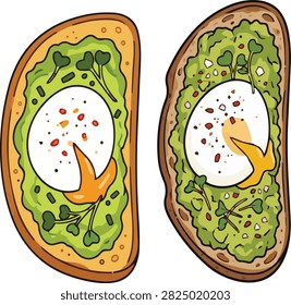 Set of two healthy avocado toast slices topped with soft poached eggs vector