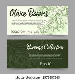 Set of two horizontal banner template with hand drawn illustration of olives branch in line art on pastels green and dark green background with copy space for your text. 