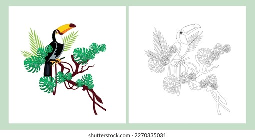 A set of two images of a toucan on a liana branch - color and monochrome versions. Vector coloring page for adults and older children.