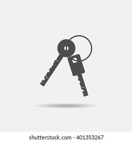 Set of two keys on white background