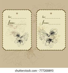 Set of two labeles with hand drawing flowers and place for text
