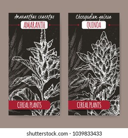 Set of two labels with Amaranthus cruentus aka amaranth and Chenopodium quinoa sketch on black. Cereal plants collection. Great for bakery, agriculture, farming design.