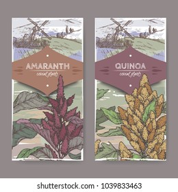 Set of two labels with Amaranthus cruentus aka amaranth and Chenopodium quinoa color sketch with field landscape. Cereal plants collection. Great for bakery, agriculture, farming design.