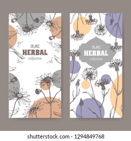 Set of two labels with Arnica montana aka or mountain arnica and Centaurea cyanus aka cornflower or bachelor button. Hadn drawn sketch. Herbal collection. Great for traditional medicine, or gardening.