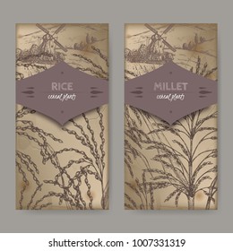 Set of two labels with Asian rice aka Oryza sativa and Proso millet aka Panicum miliaceum sketch with field landscape. Cereal plants collection. Great for bakery, agriculture, farming design.