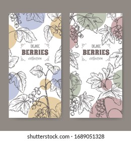 Conjunto de dos etiquetas con la corriente negra alias Ribes nigrum y la corriente roja alias Ribes rubrum. Serie de frutas de bayas. Ideal para la medicina tradicional, el diseño de perfumes, la cocina o la jardinería.