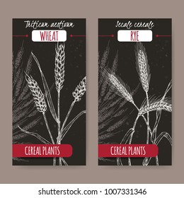 Set of two labels with bread wheat aka Triticum aestivum, rye aka Secale cereale sketch on black. Cereal plants collection. Great for bakery, agriculture, farming design.