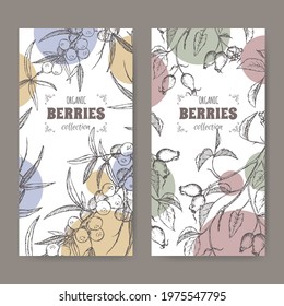 Set of two labels with dog rose and Common sea buckthorn branch sketch. Berry fruits series. Great for traditional medicine, perfume design, cooking or gardening.