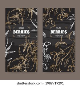 Conjunto de dos etiquetas con rosa de perro y boceto de espina dorsal común sobre negro. Serie de frutos de baya. Ideal para la medicina tradicional, el diseño de perfumes, la cocina o la jardinería.