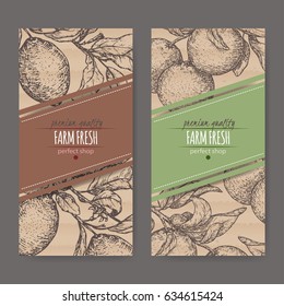 Set of two labels with fresh lemon and lime fruits. Placed on original cardboard texture. Includes hand drawn elements.